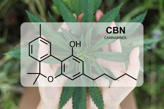 ¿Qué es el CBN (cannabinol)?
