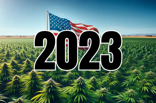 Bandera estadounidense en un campo de cannabis