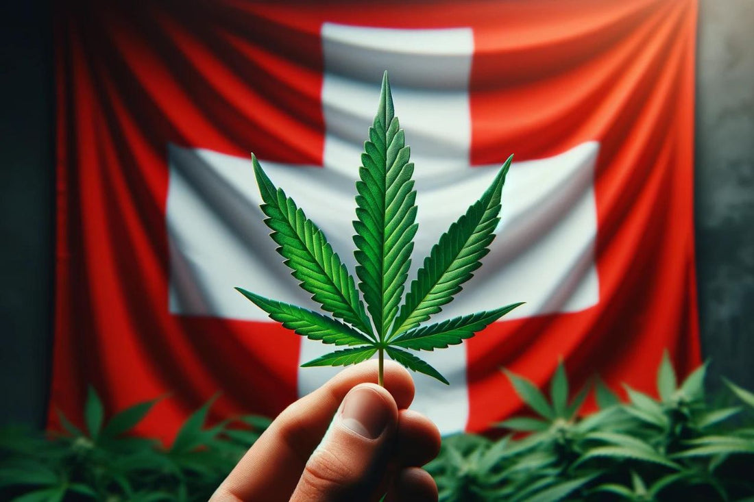 Hoja de cannabis en la bandera suiza