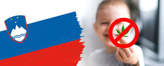 Eslovenia prohíbe el CDB después de que productores locales envenenaran a unos niños