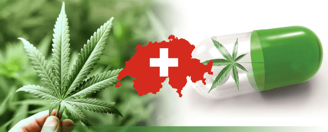 Suiza legaliza la producción y exportación de cannabis medicinal a partir de 2022