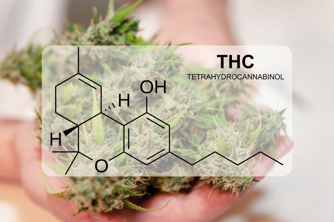 ¿Qué es el THC (tetrahidrocannabinol)?