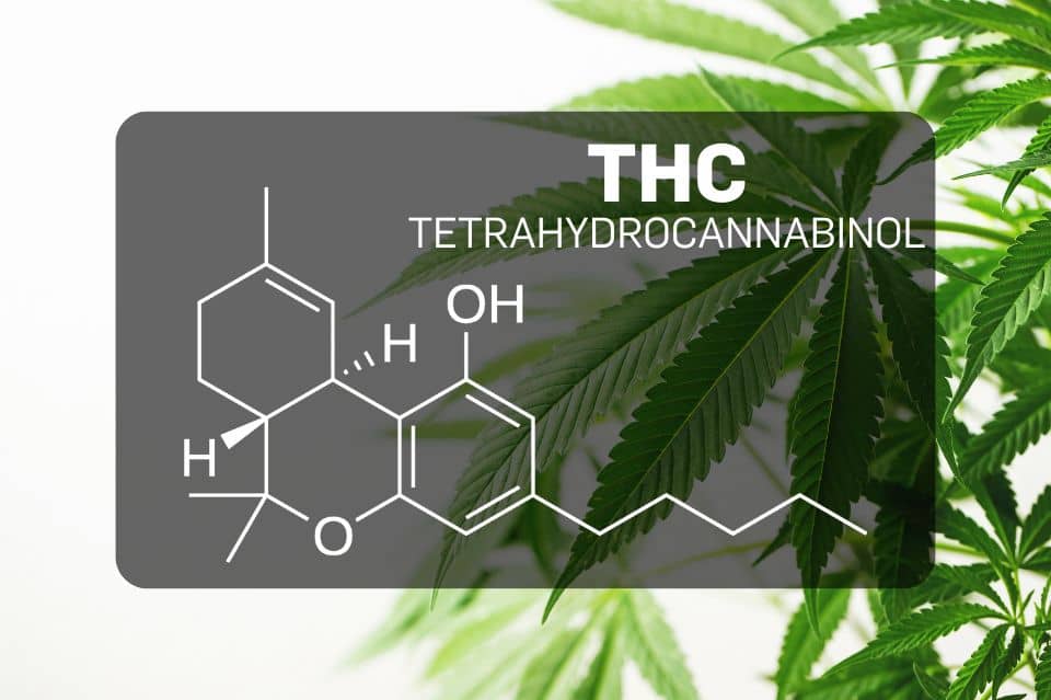 THC - Tetrahidrocannabinol
