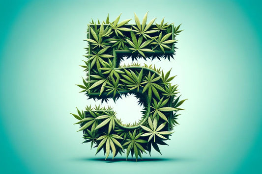 Hojas de cannabis formando un número cinco