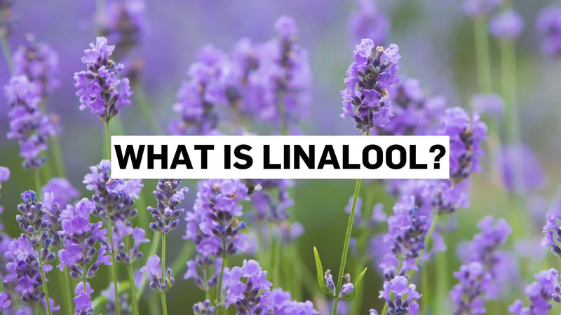 ¿Qué es el linalol?