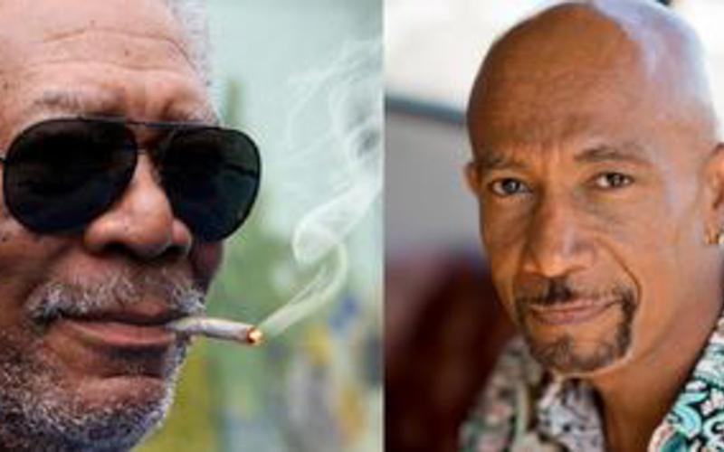 ¿Cuáles celebridades usan CBD?