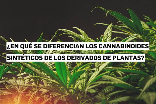 Cannabinoides sintéticos en comparación con cannabinoides naturales derivados de plantas.