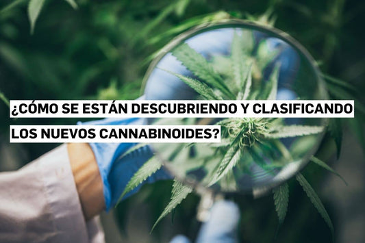 Descubrimiento y clasificación de cannabinoides