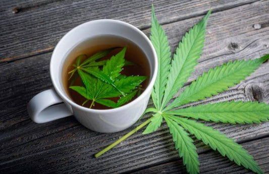 Té de cannabis