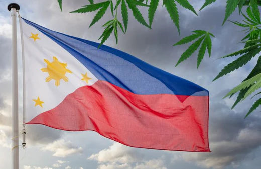 Una bandera filipina ondeando y hojas de cannabis