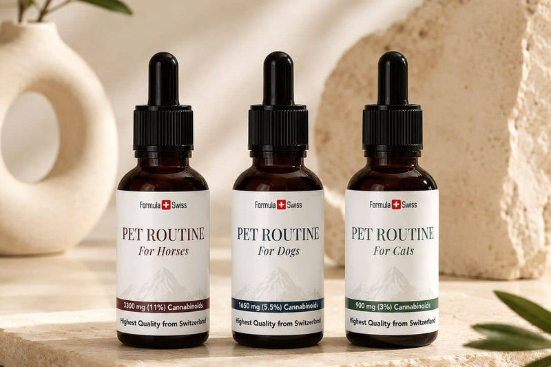 Aceites de CBD Pet Routine de Formula Swiss para caballos, perros y gatos sobre una superficie de piedra