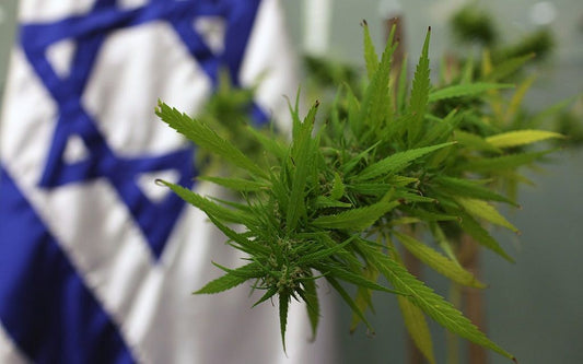 Nueva normativa sobre cannabis medicinal en Israel