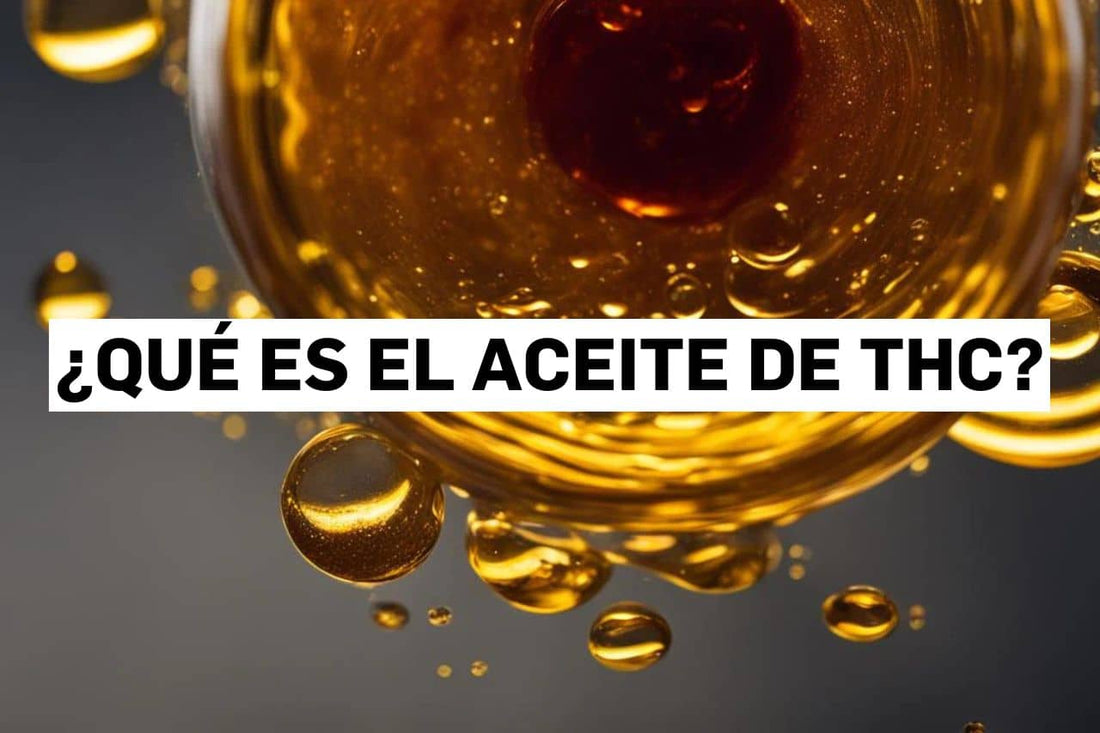 ¿Qué es el aceite de THC?