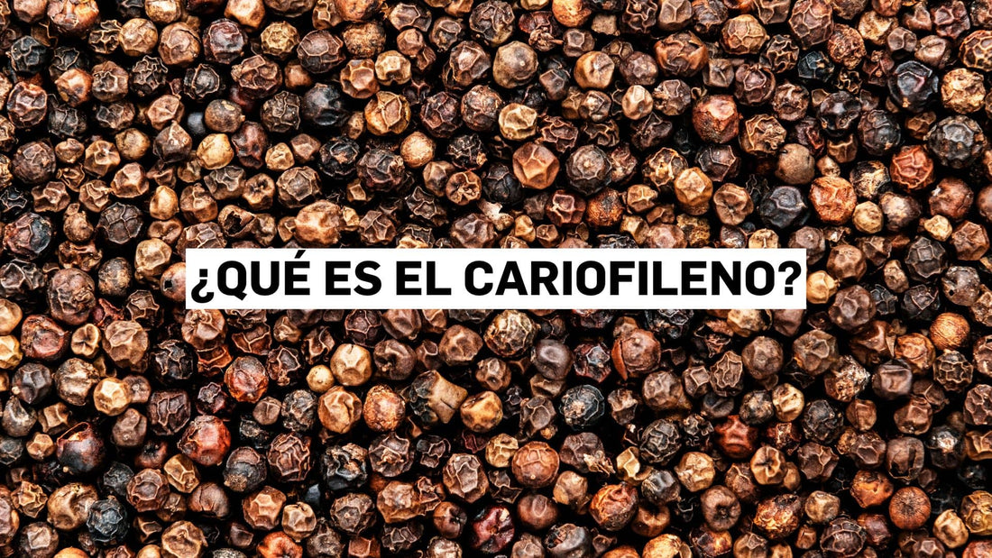 ¿Qué es el cariofileno?