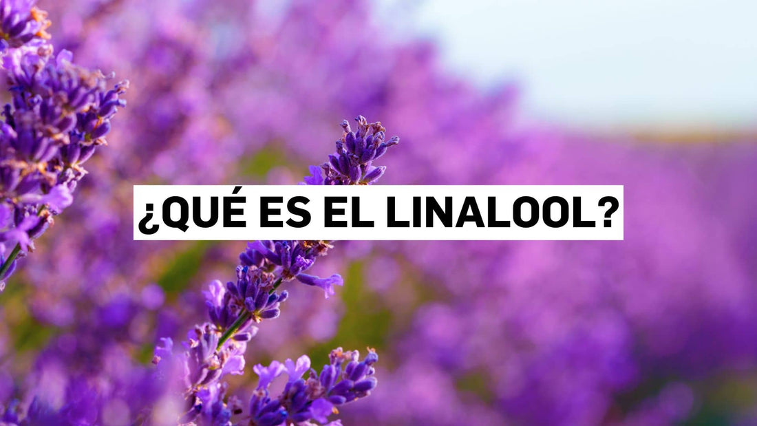 ¿Qué es el linalool?
