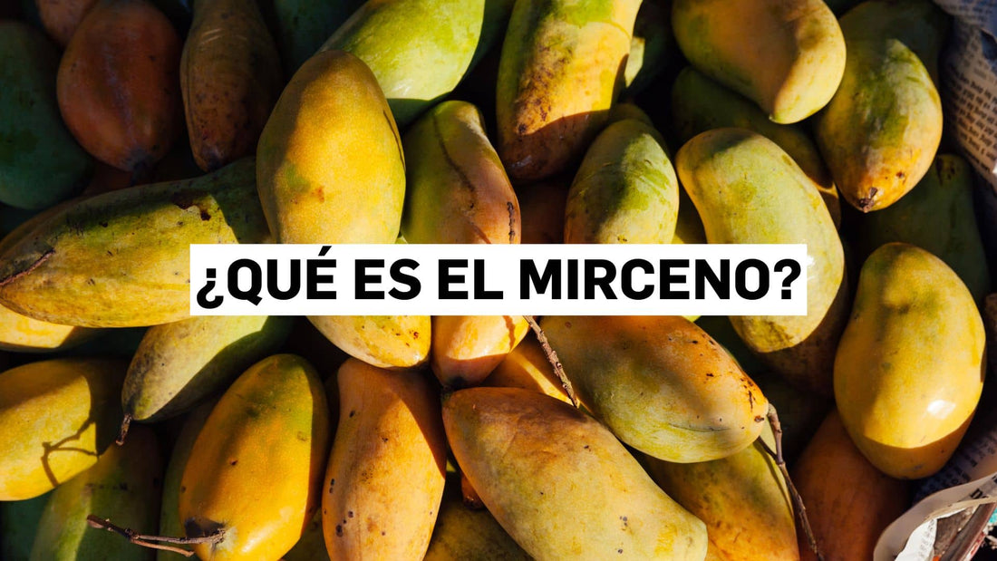 ¿Qué es el mirceno?