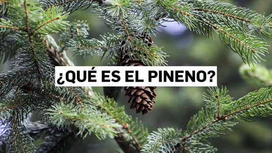 ¿Qué es el pineno?