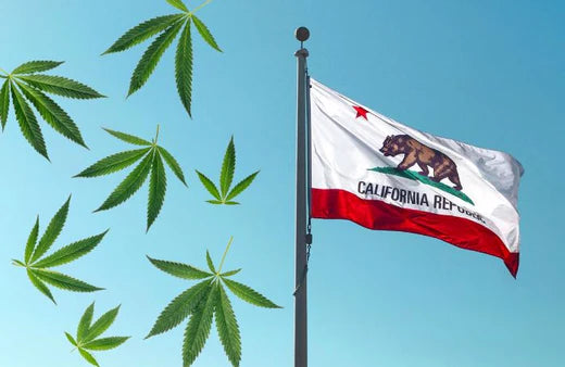 Ondeando la bandera de California y hojas de cannabis