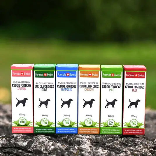 Aceite de CBD para perros