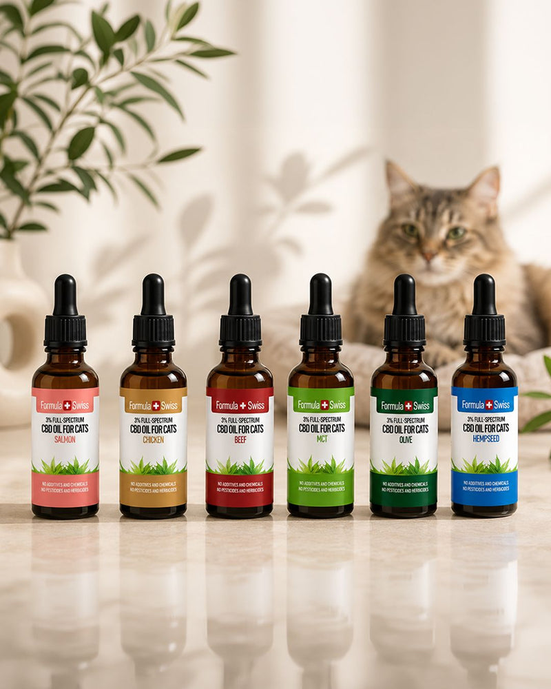 Aceite de CBD para gatos