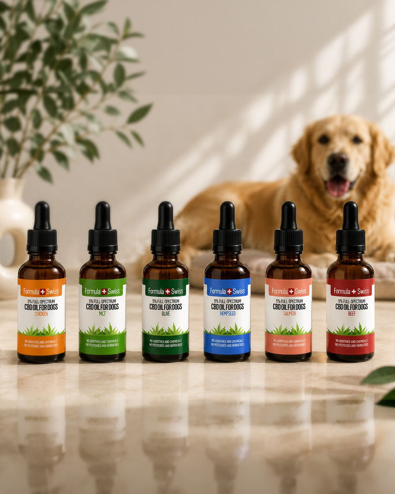 Aceite de CBD para perros