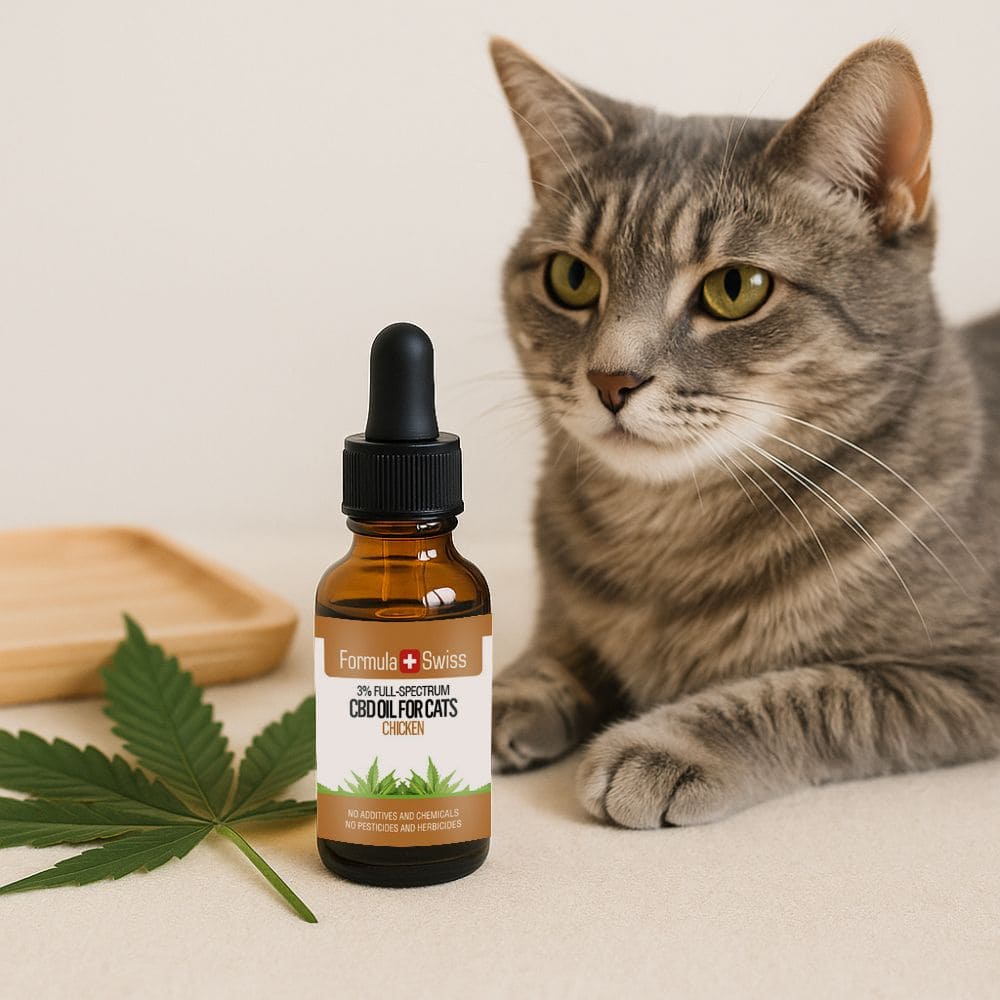 Aceite de CBD para gatos pollo