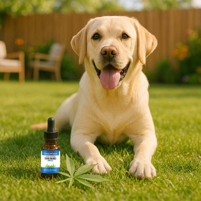 Aceite de CBD para perros semilla de canamo