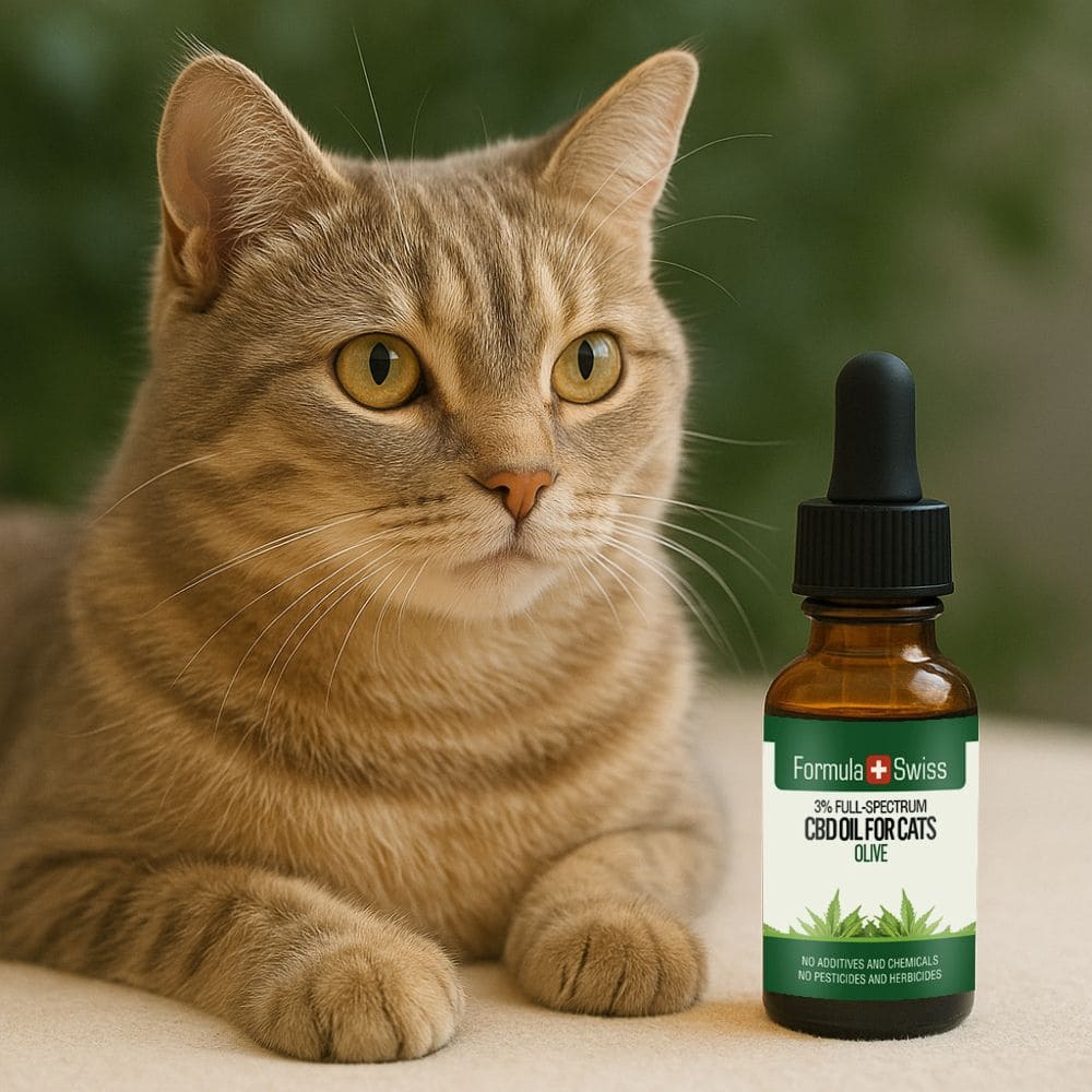 Aceite de CBD para gatos de oliva