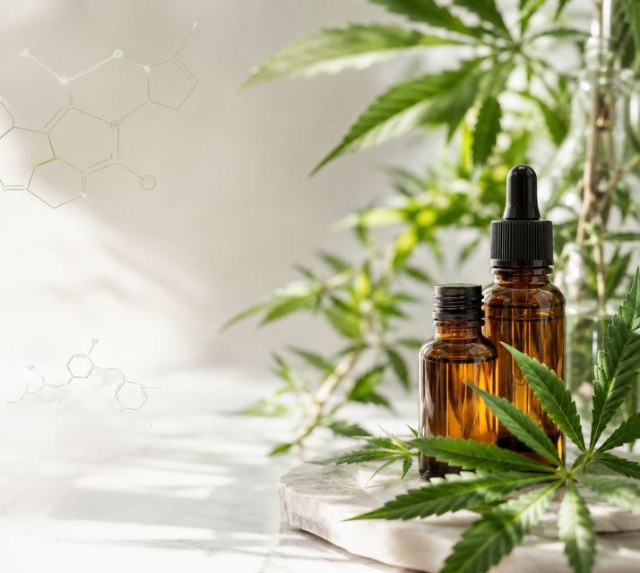 Educación de cannabinoides y compuestos vegetales de cáñamo