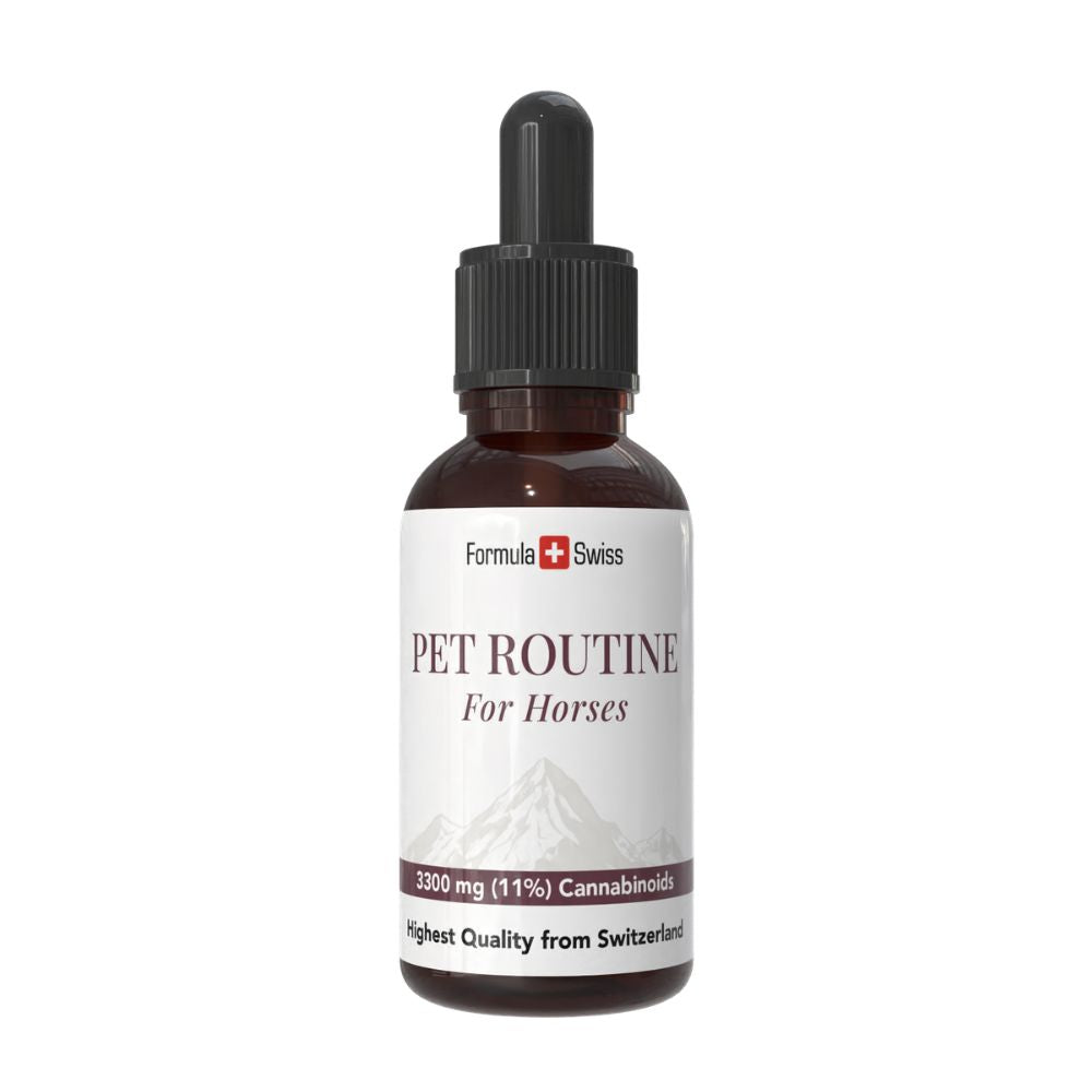 Formula Swiss Pet Routine para caballos – aceite de CBD 10 % CBD, frasco cuentagotas